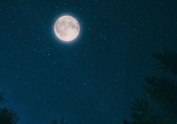WEBINAR 12 mei met Annick Van Damme ‘De magie van de volle maan in Schorpioen’ – Ben jij erbij?