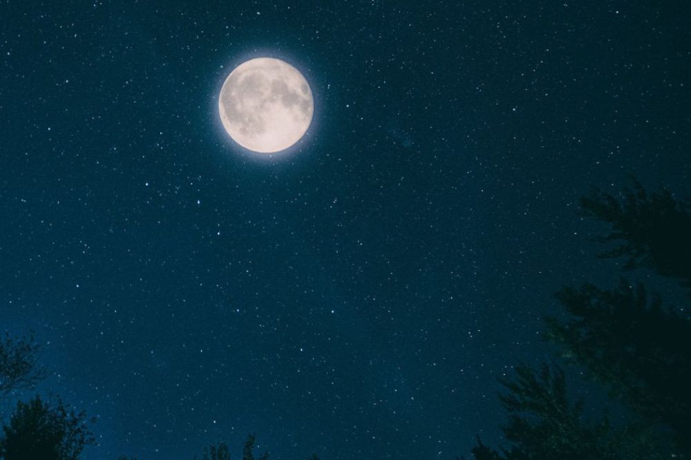 WEBINAR 12 mei met Annick Van Damme ‘De magie van de volle maan in Schorpioen’ – Ben jij erbij?
