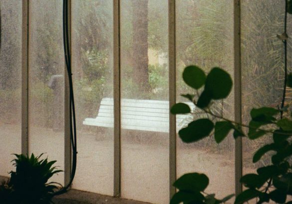 Chinese geneeskunde & levend verlies: rouwen om een leven dat je anders had voorgesteld