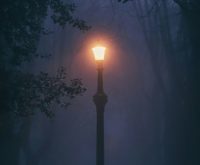 De lichte kant van donkere periodes: wat de duisternis je leert