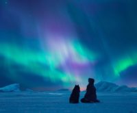 Maandhoroscoop februari 2026: dit kun jij verwachten deze maand