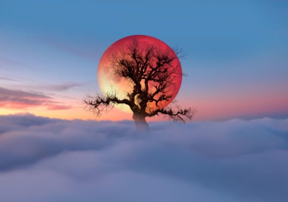 Volle maan en maansverduistering in Maagd (3 maart 2026): dit is nu belangrijk voor jou