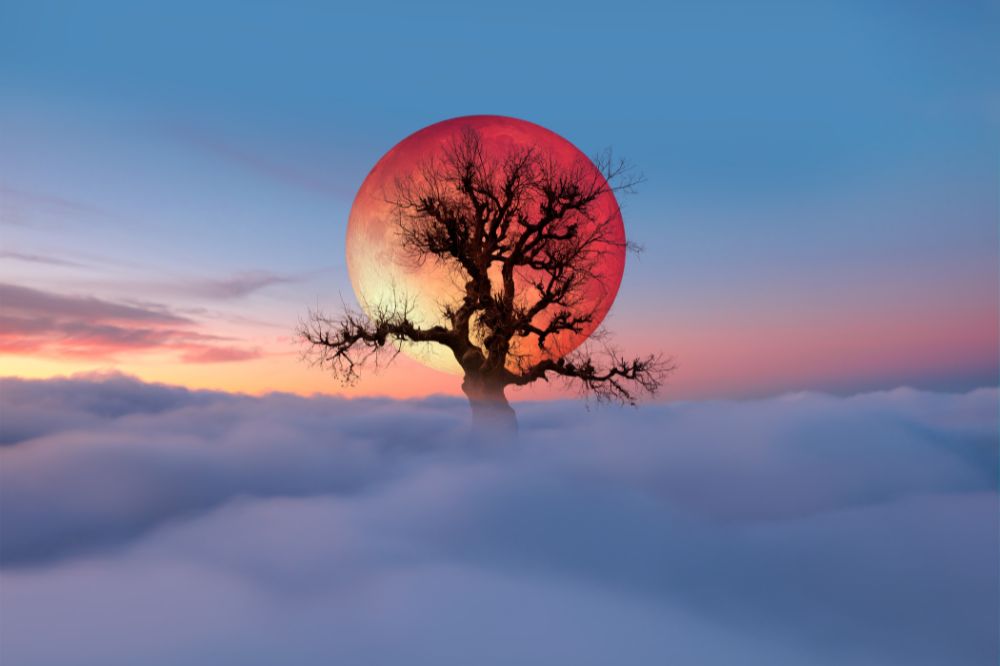 Volle maan en maansverduistering in Maagd (3 maart 2026): dit is nu belangrijk voor jou