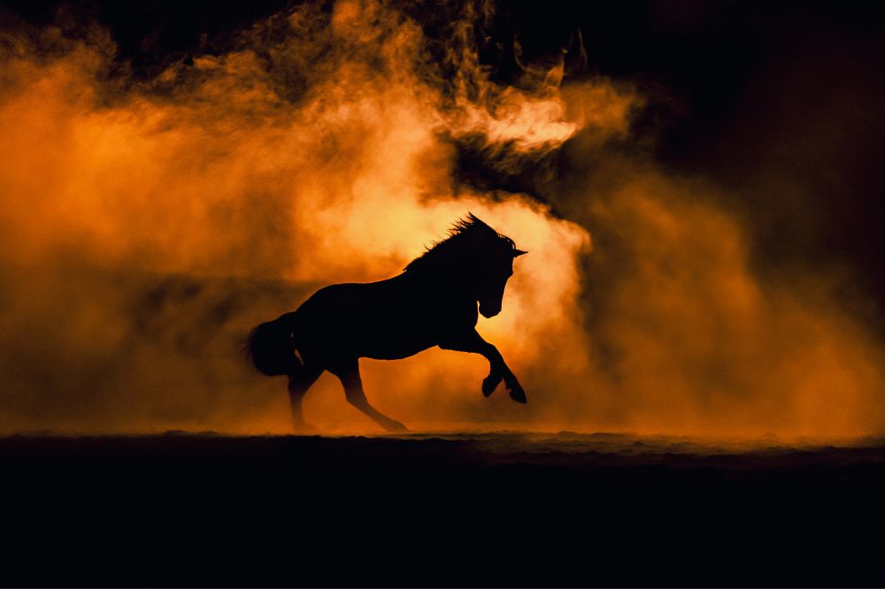 Het jaar van het Vuurpaard: dit is jouw Chinese horoscoop voor 2026