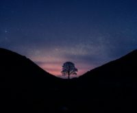 Weekhoroscoop 23 t/m 29 maart 2026: dit kan jouw ascendant verwachten tijdens het stellium in Ram