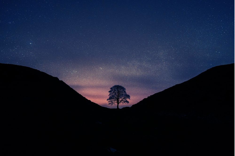 Weekhoroscoop 23 t/m 29 maart 2026: dit kan jouw ascendant verwachten tijdens het stellium in Ram