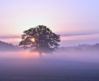 Slangmaand mei 2026: dit betekent het voor jou volgens de Chinese kosmologie