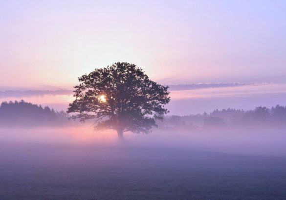 Slangmaand mei 2026: dit betekent het voor jou volgens de Chinese kosmologie