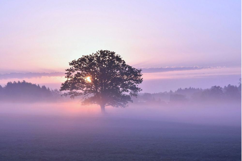 Slangmaand mei 2026: dit betekent het voor jou volgens de Chinese kosmologie
