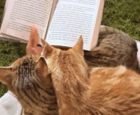 10 boeken over liefde en (problemen in) relaties