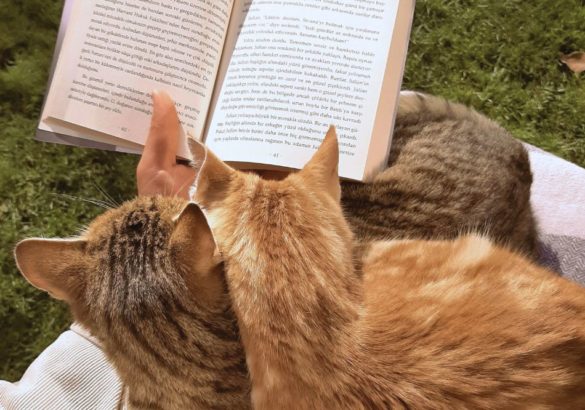 10 boeken over liefde en (problemen in) relaties