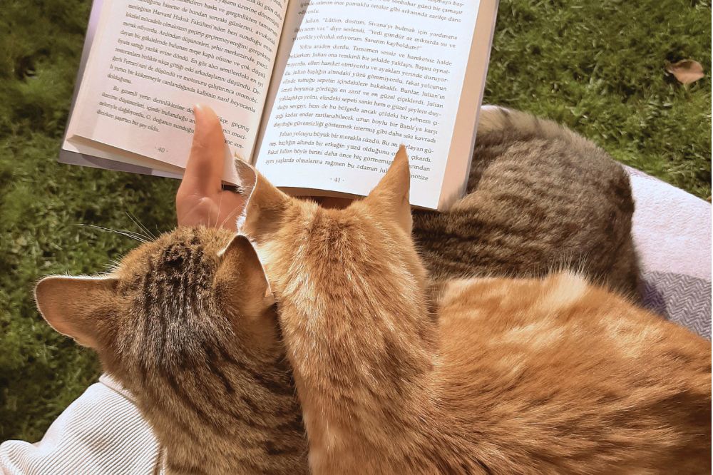 10 boeken over liefde en (problemen in) relaties