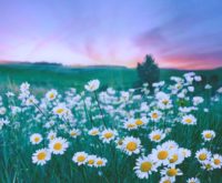 Astrologische energie van mei 2026: nieuwe kansen en plotselinge veranderingen