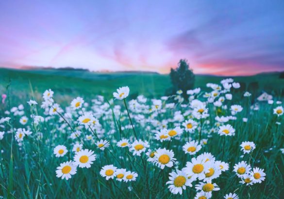 Astrologische energie van mei 2026: nieuwe kansen en plotselinge veranderingen