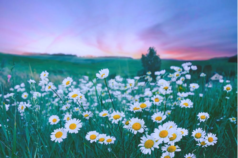 Astrologische energie van mei 2026: nieuwe kansen en plotselinge veranderingen